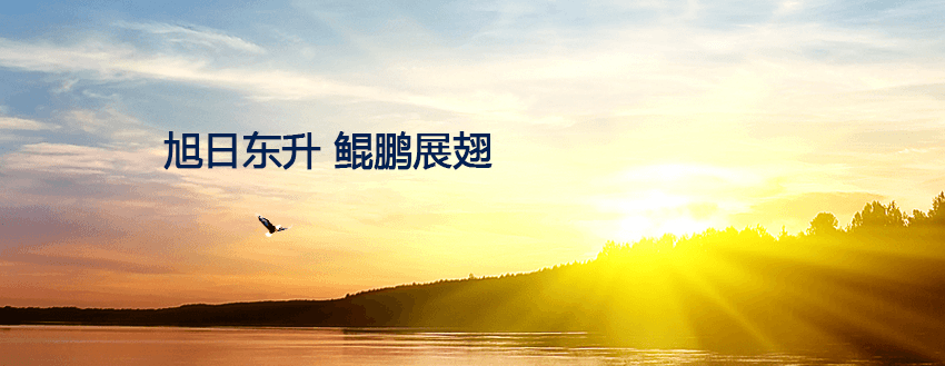 未标题-1.png